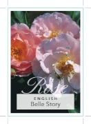 Picture of ROSE BELLE STORY (English)                                                                                                                            