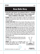 Picture of ROSE BELLE STORY (English)                                                                                                                            