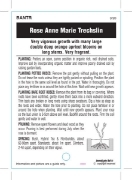 Picture of ROSE ANNE MARIE TRECHSLIN (HT)                                                                                                                        