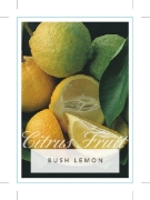 Picture of FRUIT CITRUS LEMON BUSH LEMON                                                                                                                         