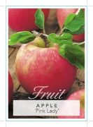 Picture of **FRUIT APPLE PINK LADY Jumbo Tag                                                                                                                     