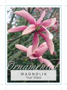 Picture of MAGNOLIA STAR WARS Jumbo Tag                                                                                                                          