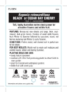 Picture of EUGENIA REINWARDTIANA BEACH OR CEDAR BAY CHERRY                                                                                                       