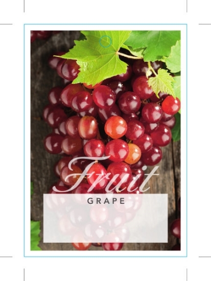 Picture of FRUIT GRAPE RED (UNNAMED VARIETY)                                                                                                                     