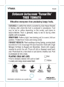 Picture of FRUIT TAMARILLO TREE TOMATO (Tick Box)                                                                                                                