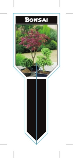 Picture of **HOUSEPLANT BONSAI (Ministik)                                                                                                                        