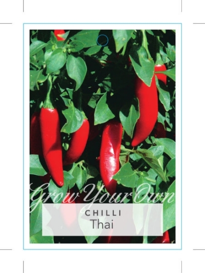 Picture of CHILLI THAI                                                                                                                                           