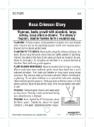 Picture of ROSE CRIMSON GLORY (HT)                                                                                                                               