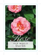 Picture of ROSE SHOT SILK (OW)                                                                                                                                   