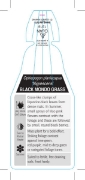 Picture of OPHIOPOGON PLANISCAPUS NIGRESCENS BLACK MONDO GRASS                                                                                                   