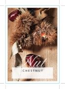 Picture of NUT CHESTNUT                                                                                                                                          