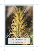 Picture of ADENANTHOS DETMOLDII                                                                                                                                  