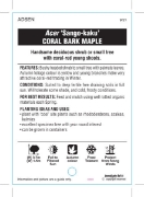 Picture of ACER PALMATUM SANGO-KAKU CORAL BARK MAPLE                                                                                                             