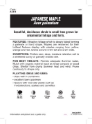 Picture of ACER PALMATUM VARIETY (UNNAMED) Jumbo Tag                                                                                                             