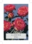 Picture of ROSE IMP CLIMBING                                                                                                                                     