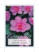 Picture of CAMELLIA JENNIFER SUSAN                                                                                                                               