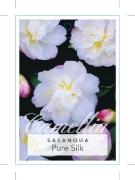 Picture of CAMELLIA PURE SILK                                                                                                                                    