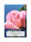 Picture of ROSE SUSAN (HT)                                                                                                                                       