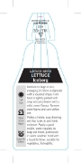 Picture of VEGETABLE LETTUCE ICEBERG (Lactuca sativa)                                                                                                            