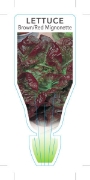 Picture of VEGETABLE LETTUCE MIGNONETTE  BROWN/RED (Lactuca sativa)                                                                                              