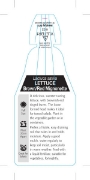 Picture of VEGETABLE LETTUCE MIGNONETTE  BROWN/RED (Lactuca sativa)                                                                                              