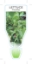 Picture of VEGETABLE LETTUCE HEIRLOOM FRECKLES (Lactuca sativa)                                                                                                  