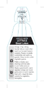 Picture of VEGETABLE LETTUCE GREAT LAKES (Lactuca sativa)                                                                                                        