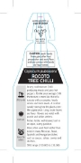 Picture of CAPSICUM PUBESCENS ROCOTO TREE CHILLI                                                                                                                 