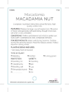 Picture of NUT MACADAMIA                                                                                                                                         