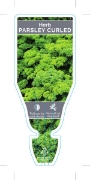 Picture of HERB PARSLEY CURLED (Petroselinum crispum)                                                                                                            
