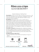 Picture of **FRUIT GOOSEBERRY                                                                                                                                    