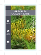 Picture of GREVILLEA GOLDEN LYRE                                                                                                                                 
