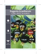 Picture of FRUIT GRUMICHAMA EUGENIA DOMBEYI                                                                                                                      
