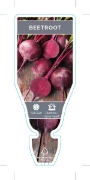 Picture of VEGETABLE BEETROOT RED (Beta vulgaris)                                                                                                                