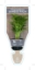 Picture of PALM CHAMAEDOREA SEIFRIZII BAMBOO OR REED                                                                                                             