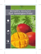 Picture of FRUIT MANGO BOWEN (SYN KENSINGTON PRIDE)                                                                                                              