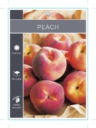 Picture of FRUIT PEACH (UNNAMED VARIETY) Jumbo Tag                                                                                                               