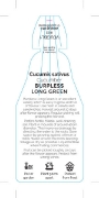 Picture of VEGETABLE CUCUMBER BURPLESS LONG GREEN  (Cucumis sativus)                                                                                             