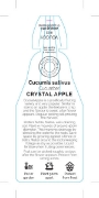 Picture of VEGETABLE CUCUMBER CRYSTAL APPLE  (Cucumis sativus)                                                                                                   