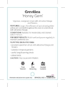 Picture of GREVILLEA HONEY GEM                                                                                                                                   