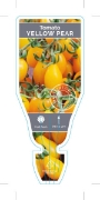 Picture of VEGETABLE TOMATO HEIRLOOM YELLOW PEAR (Lycopersicon esculentum)                                                                                       
