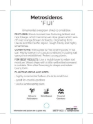 Picture of **METROSIDEROS FIJI                                                                                                                                   
