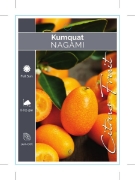 Picture of FRUIT CITRUS KUMQUAT NAGAMI                                                                                                                           