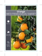 Picture of FRUIT CITRUS ORANGE MEDITERRANEAN SWEET                                                                                                               