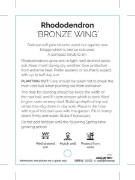 Picture of RHODODENDRON BRONZE WING                                                                                                                              
