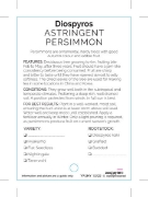 Picture of FRUIT PERSIMMON ASTRINGENT VARIETIES (TICK BOX)                                                                                                       