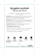Picture of SYZYGIUM AUSTRALE RESILIENCE                                                                                                                          