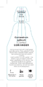 Picture of HERB CORIANDER / CILANTRO (Coriandrum sativum)                                                                                                          