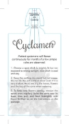 Picture of **HOUSEPLANT CYCLAMEN                                                                                                                                 