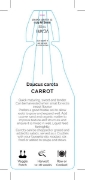 Picture of VEGETABLE CARROT (Daucus carota)                                                                                                                      